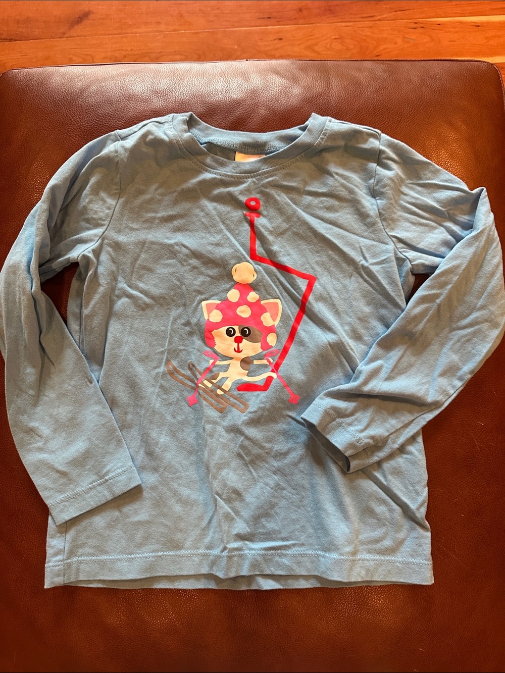 Hanna Andersson Light Blue Long-Sleeve Tee with Pink Ski Cat Graphic